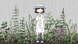  1girl arms_at_sides black_hair blue_footwear blue_socks blush character_request closed_eyes closed_mouth copyright_request dress facing_viewer full_body hat highres outdoors overcast plant rain shoes short_hair short_sleeves sky smile socks solo standing tsukumizu_yuu wet wet_clothes white_dress white_hat 