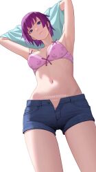  1girl absurdres armpits arms_up artist_name blue_eyes blue_shirt blue_shorts bra breasts closed_mouth clothes_lift commission denim denim_shorts drid from_below highres lifted_by_self looking_at_viewer looking_down medium_breasts monogatari_(series) navel open_fly purple_bra purple_hair senjougahara_hitagi shirt shirt_lift short_hair short_shorts shorts simple_background solo standing stomach underwear undressing white_background  rating:Sensitive score:31 user:danbooru