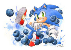  1boy artist_name berry blueberry dated finik food fruit furry furry_male gloves green_eyes looking_at_viewer shoes signature solo sonic_(series) sonic_the_hedgehog watermark white_gloves  rating:General score:1 user:danbooru