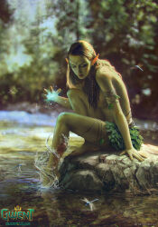  1girl akreon breasts brown_hair cd_projekt_red colored_skin dryad elf green_skin gwent_(game) hair_ornament hydrokinesis long_hair magic nature official_art plant_clothing pointy_ears river solo the_witcher_(series) water  rating:Sensitive score:3 user:danbooru
