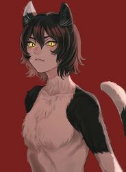  1girl animal_ears body_fur brown_hair cat_ears cat_girl cat_tail closed_mouth commentary dungeon_meshi fangs fangs_out hair_between_eyes highres izutsumi looking_at_viewer mismatched_animal_ear_colors multicolored_fur red_background sasakura34 short_hair simple_background tail upper_body yellow_eyes  rating:Sensitive score:4 user:danbooru