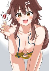  ! !! 1girl :3 ^^^ all_fours animal_ears bikini blush bone_hair_ornament brown_eyes brown_hair brown_tail cartoon_bone claw_pose collarbone dog_ears dog_girl dog_tail grey_background hair_between_eyes hair_ornament hand_up highres hololive inugami_korone long_hair looking_at_viewer looking_down nipples open_mouth smile solo surprised sweatdrop swimsuit tail torn_clothes virtual_youtuber wardrobe_malfunction yellow_bikini yellow_nails yorunoudonya  rating:Questionable score:30 user:danbooru