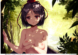 1girl absurdres black_hair black_wings blurry breast_hold breasts collarbone completely_nude dappled_sunlight day depth_of_field forest hat highres ke-ta lips looking_at_viewer medium_breasts nature nipples non-web_source nude outdoors parted_lips red_eyes shameimaru_aya short_hair solo sunlight sweat tokin_hat touhou translation_request tree tree_shade upper_body wings rating:Questionable score:66 user:danbooru