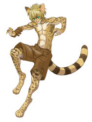  1boy animal_ears animal_hands barefoot cat_boy cat_ears cat_tail feet full_body furry furry_male male_focus muscular simple_background solo tagme tail toes topless_male white_background  rating:Sensitive score:25 user:gandalf359