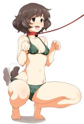 10s 1girl afterimage akiyama_yukari animal_collar bare_arms bare_legs bare_shoulders barefoot bikini blush breasts brown_eyes brown_hair cleavage collar collarbone dog_lead dog_tail empty_eyes eyebrows feet full_body girl_on_top girls_und_panzer green_bikini hatakenaka_(kamagabuchi) kemonomimi_mode leash legs_apart motion_lines navel open_mouth paw_pose pet_play simple_background small_breasts smile solo squatting swimsuit tail tail_wagging tongue tongue_out white_background rating:Questionable score:80 user:danbooru