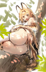 10s 1girl :d absurdres animal_ears ass bad_id bad_pixiv_id bare_shoulders blonde_hair blush branch bright_background clothes_lift day elbow_gloves foreshortening from_behind gloves hand_on_own_ass hand_rest high-waist_skirt highres in_tree kemono_friends leaf looking_at_viewer looking_back lying on_side open_mouth outdoors panties serval_(kemono_friends) serval_print serval_tail shirt short_hair sketch skirt skirt_lift sleeveless sleeveless_shirt smile solo striped_tail sweat tail thighhighs tree tree_shade tsukiriran underwear yellow_eyes rating:Questionable score:24 user:danbooru