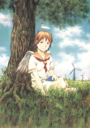  00s abe_yoshitoshi angel bug butterfly cloud day grass haibane_renmei halo highres insect nature rakka_(haibane) sky solo static_cling tree wings  rating:Sensitive score:3 user:danbooru