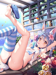  1girl animal_ear_fluff animal_ears arm_behind_head arm_up bare_legs bikini bikini_bottom_only black_bikini blue_footwear blue_hair blush breasts carrot_hair_ornament commentary_request crazy_straw crop_top cup day don-chan_(usada_pekora) drinking_straw drinking_straw_in_mouth flower food-themed_hair_ornament hair_between_eyes hair_flower hair_ornament hand_up highres holding holding_cup hololive legs_up long_hair lying mogmog multicolored_hair on_back palm_tree petals pink_flower purple_flower rabbit_ears red_eyes red_flower sandals shoes short_eyebrows side-tie_bikini_bottom single_thighhigh small_breasts solo striped_clothes striped_thighhighs swimsuit thick_eyebrows thighhighs tree two-tone_hair unworn_sandals usada_pekora virtual_youtuber wet white_hair yellow_flower 