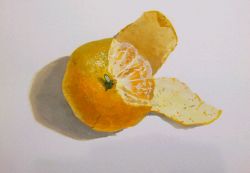  food fruit no_humans orange_(fruit) original peeling pencil1205 realistic shadow simple_background still_life white_background 
