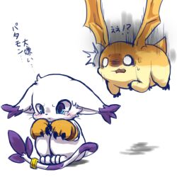 animal_ears cat cat_ears digimon digimon_(creature) gloves holy_ring patamon tail tailmon translation_request