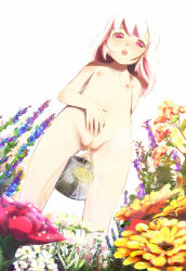  1girl bad_id bad_pixiv_id blush breasts cleft_of_venus duplicate field flat_chest flower flower_field harepore loli nipples nude open_mouth original pee peeing pink_eyes pink_hair pussy simple_background small_breasts standing uncensored watering_can white_background 