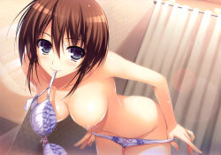 1girl absurdres bare_shoulders bent_over blue_eyes blush bow bow_panties bra breasts brown_hair cleavage highres hip_focus koi_de_wa_naku large_breasts lens_flare lingerie looking_at_viewer makishima_yumi mouth_hold nipples panties panty_pull short_hair smile solo tomose_shunsaku underwear underwear_only undressing rating:Questionable score:144 user:danbooru