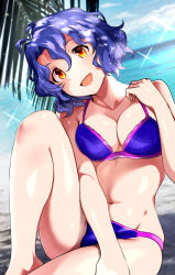  1girl absurdres antenna_hair bad_id bad_pixiv_id beach bikini blue_bikini blue_hair blue_sky breasts brown_eyes cloud collarbone commentary_request day hanamasa_ono head_tilt highres idolmaster idolmaster_million_live! large_breasts looking_at_viewer medium_breasts outdoors short_hair sitting sky smile solo sparkle swimsuit toyokawa_fuka wavy_hair  rating:Sensitive score:26 user:danbooru