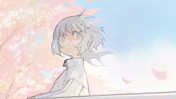  1girl androgynous cherry_blossoms closed_mouth day dot_nose elbow_rest floating_hair grey_eyes grey_hair grey_trim highres indie_utaite jacket light_smile long_sleeves looking_back medium_hair ni_(nimame629) outdoors painterly pastel_colors petals sky solo soreyue_(utaite) three_quarter_view tree turtleneck unkempt upper_body utaite white_jacket wolf_cut zipper zipper_pull_tab 