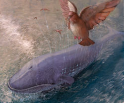  abe_(jump) animal_focus bird fail_whale net no_humans ocean realistic twitter whale 