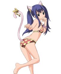  1girl animal_ears ass bikini blue_hair breasts cat_tail child fairy_tail ribbon small_breasts swimsuit tail tail_ornament tail_ribbon transparent_background twintails wendy_marvell  rating:Sensitive score:63 user:couchpotato