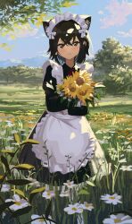  1girl absurdres animal_ears apron black_eyes black_hair black_shirt black_skirt blue_sky blush cat_ears cat_girl closed_mouth cloud collared_shirt crossed_arms crossed_bangs daisy day field flower flower_field frilled_apron frills full_body hair_between_eyes highres holding holding_flower hugging_object juliet_sleeves kgt_(pixiv12957613) long_sleeves looking_at_viewer maid maid_headdress nature necktie original outdoors petticoat puffy_sleeves red_necktie shirt short_hair skirt sky smile solo sunflower tree white_apron white_flower 