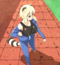 1girl animal_ears araiguma-san blonde_hair breasts covered_erect_nipples expressionless from_above huge_breasts jacket large_breasts off_shoulder original raccoon_ears raccoon_tail red_eyes running shiny_clothes shoes short_hair sidelocks sneakers solo tail taut_clothes track_jacket track_suit tsukudani_(coke-buta) rating:Questionable score:27 user:danbooru