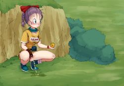  1girl artist_request belt blue_eyes blush braid breasts brown_belt brown_gloves bulma bush character_name cliff dragon_ball dragon_ball_(object) dragonball_z dress fanny_pack gloves grass green_footwear hair_ribbon holding looking_to_the_side medium_breasts no_panties peeing puddle purple_hair pussy ribbon shoes single_glove socks spread_legs spread_pussy squatting uncensored white_socks wristband yellow_dress  rating:Explicit score:31 user:cpee