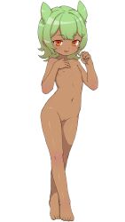  1girl absurdres anaruga animal_ears barefoot blush breasts cleft_of_venus completely_nude crossed_legs dark-skinned_female dark_skin dot_nose female_focus flat_chest full_body green_hair groin hand_on_own_chest highres humotaru legs light_blush loli looking_at_viewer medium_hair navel nipples nude open_mouth orange_eyes original pussy sidelocks simple_background solo split_mouth standing stomach toes white_background  rating:Explicit score:77 user:abacba