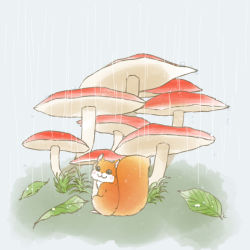  animal animal_ears character_request chipmunk fluffy komae0611 leaf mushroom no_humans plant rain solo tagme tail 