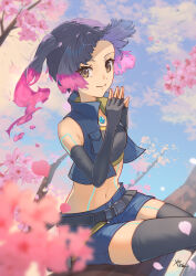 1girl alternate_hair_color black_gloves black_hair black_thighhighs blue_jacket blue_shorts blue_sky blurry blurry_foreground branch breasts brown_eyes cherry_blossoms closed_mouth cloud cloudy_sky commentary day depth_of_field elbow_gloves fiery_hair fingerless_gloves fire flower forehead gloves hanami highres in_tree jacket looking_at_viewer navel one_side_up open_clothes open_jacket outdoors petals pink_fire pink_flower pink_hair sena_(xenoblade) shorts signature sitting sky sleeveless sleeveless_jacket small_breasts smile solo thighhighs tree xenoblade_chronicles_(series) xenoblade_chronicles_3 yanagimachi 