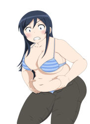 1girl alternate_breast_size aragaki_ayase ass belly belly_grab black_hair blue_bra blue_eyes blue_panties blush bra breasts cleavage clenched_teeth crotch_seam embarrassed frown hair_between_eyes hip_focus large_breasts long_hair muffin_top navel open_fly ore_no_imouto_ga_konna_ni_kawaii_wake_ga_nai panties pants plump solo teeth thighs tight_clothes tight_pants undersized_clothes underwear weight_conscious wide-eyed rating:Sensitive score:26 user:danbooru