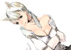  1girl animal_ears bare_shoulders blonde_hair blouse blue_eyes breasts capcom choker cleavage demento dog_ears dog_tail fiona_belli hair_tie houden_eizou jewelry large_breasts off_shoulder ponytail shirt solo tail third-party_edit  rating:Sensitive score:21 user:HowlingDog
