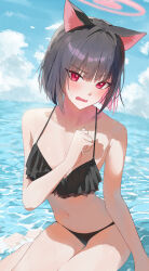  1girl absurdres alternate_costume animal_ears bikini black_bikini black_hair blue_archive blue_sky blush breasts cat_ears cloud colored_inner_hair commentary frilled_bikini frills halo hand_up highres kazusa_(blue_archive) looking_at_viewer matttttya1 multicolored_hair navel ocean open_mouth outdoors pink_eyes pink_hair pink_halo short_hair sitting sky small_breasts solo sweat swimsuit 
