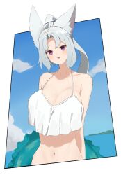  1girl animal_ears blue_sky bra breasts cloud fox_ears frilled_bra frills hair_intakes high_ponytail highres innertube large_breasts long_hair looking_at_viewer ocean parted_bangs purple_eyes sidelocks sky solo_focus swim_ring touhoku_itako triangle_mouth underwear voiceroid white_background white_hair yakata_tata 