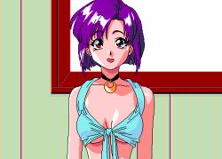  1girl animahjong animahjong_x animated animated_gif blue_panties blush bouncing_breasts breasts breasts_apart choker cleavage collar facing_viewer front-tie_top gainaxing indoors jewelry lace lace-trimmed_panties lace_trim looking_at_viewer lowres medium_breasts miyabi_(animahjong) miyabi_(animahjong_x) nakajima_atsuko necklace nipples no_bra panties pc-98_(style) pc98 pixel_art purple_hair red_eyes retro_artstyle short_hair shy sogna solo standing talking topless underboob underwear undressing untying  rating:Questionable score:234 user:danbooru