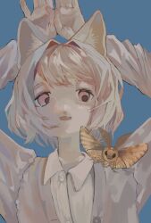  1girl animal_ears arms_up blue_background bug cardigan cat_ears cat_girl collared_shirt fang grey_cardigan hair_intakes highres insect long_sleeves looking_at_animal looking_to_the_side medium_hair moth nunu_(inunouen) original paw_pose pink_eyes raised_eyebrows shirt simple_background skin_fang solo swept_bangs upper_body white_hair white_shirt 