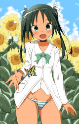  1girl absurdres black_choker black_hair blurry blurry_background bow bug butterfly choker cloud collarbone day facing_viewer fang female_focus flower francesca_lucchini green_eyes hair_ribbon highres insect long_hair military military_uniform nasutane open_mouth outdoors panties ribbon shirt sky solo standing strike_witches striped_clothes striped_panties sunflower underwear uniform world_witches_series 