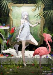  album_cover breasts cinkai cover dress forest heterochromia highres nature sennzai small_breasts white_dress white_hair  rating:General score:3 user:bropee