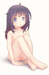 1girl barefoot blue_eyes blue_hair blush comodomodo crossed_legs feet female_focus flat_chest full_body highres knees_up loli long_hair looking_at_viewer nipples nude open_mouth original pussy simple_background sitting solo toes uncensored white_background rating:Explicit score:82 user:sytalidis
