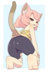  1girl animal_ear_fluff animal_ears ass barefoot bike_shorts blue_background border borrowed_character brown_eyes cat_ears cat_tail eroneko-san feet female_focus from_behind highres kneeling looking_back naughty_face original pink_hair satsuyo short_hair soles solo tail tail_raised tiptoes tongue tongue_out white_border 