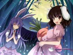  2girls adapted_costume animal_ears bad_id bad_pixiv_id bamboo bamboo_forest black_hair carrot closed_eyes female_focus fireflies forest full_moon highres inaba_tewi ishida_seito jewelry light_particles long_hair moon multiple_girls nature open_mouth oversized_object own_hands_together pendant purple_hair rabbit_ears rabbit_girl rabbit_tail red_eyes reisen_udongein_inaba short_hair short_sleeves smile tail touhou vest vfenster 