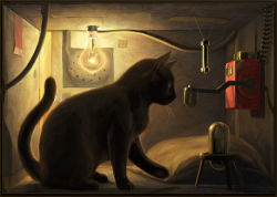  animal animal_focus black_cat box cable cat ka92 light_bulb no_humans original schrodinger&#039;s_cat science solo 