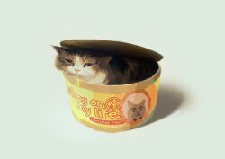  animal animal_focus brown_cat can cat closed_mouth commentary english_commentary expressionless grey_background highres in_container looking_at_viewer lying no_humans original realistic simple_background solo weiwei_(peevishpants) 