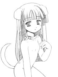 1girl animal_ears collar copyright_request dog_ears flat_chest greyscale leash loli monochrome new_year nipples nude sige sketch solo tail rating:Explicit score:4 user:danbooru