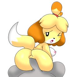  1boy 1girl anal animal_crossing ass breasts colored_skin dog dog_girl grey_skin highres isabelle_(animal_crossing) nintendo nipples sex tail yellow_skin  rating:Explicit score:8 user:Jsabfan