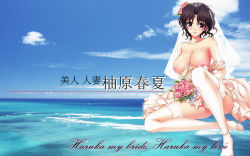 breasts bride dress highres komori_kei landscape large_breasts leaf_(company) mature_female nipples thighhighs third-party_edit to_heart to_heart_(series) to_heart_2 wedding_dress yuzuhara_haruka rating:Explicit score:32 user:oludara
