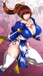  1girl breasts dead_or_alive highres kasumi_(doa) large_breasts long_hair ponytail solo 