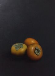  black_background food fruit highres light no_humans object_focus original painting_(medium) persimmon realistic shadow simple_background traditional_media xuahqcpelcqniyj 