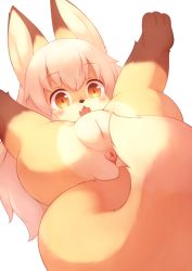 1girl :3 animal_ears anus blonde_hair blush brown_eyes cleft_of_venus fang fat_mons female_focus fox_ears fox_tail furry furry_female legs_up loli matsuu_(akiomoi) nude original pussy simple_background solo spread_legs tail uncensored white_background rating:Explicit score:239 user:Dweenie