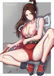  1girl breasts fatal_fury highres large_breasts ponytail shiranui_mai solo 