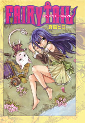 2girls anklet bare_legs bare_shoulders barefoot blue_hair blush book brown_eyes cat charle_(fairy_tail) cover detached_sleeves dress fairy_tail feet flower food fruit highres jewelry long_hair lying map mashima_hiro multiple_girls official_art on_side petals smile water wendy_marvell rating:Sensitive score:37 user:dmysta3000