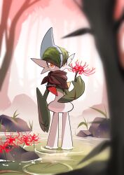  blurry blurry_foreground brown_neckerchief colored_skin commentary creatures_(company) diviously english_commentary flower gallade game_freak gen_4_pokemon green_hair highres holding holding_flower lily_pad neckerchief nintendo orange_eyes pokemon pokemon_(creature) red_flower ripples spider_lily standing wading water white_skin 