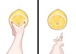  anatomical_nonsense crossover food fruit grabbing hand_focus highres juice lemon meme original pov pov_cheek_grabbing_(meme) pov_hands sechi_(sechihyeo) simple_background solo squeezing thour_(meme) white_background 