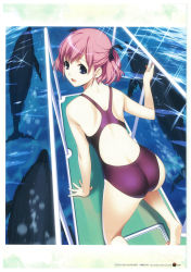 10s 1girl :d all_fours ass barefoot black_ribbon black_one-piece_swimsuit blue_eyes competition_swimsuit day dolphin feet from_above grisaia_(series) hair_ribbon highres ino_(magloid) komine_sachi looking_at_viewer looking_back one-piece_swimsuit open_mouth outdoors page_number pink_hair ribbon scan short_twintails smile solo sparkle swimsuit twintails water rating:Sensitive score:39 user:danbooru